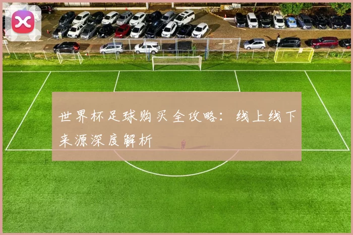 世界杯足球购买全攻略：线上线下来源深度解析