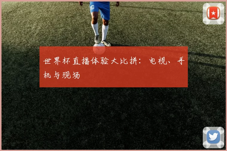 世界杯直播体验大比拼:电视、手机与现场