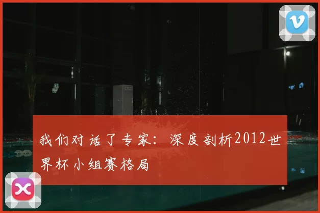 我们对话了专家:深度剖析2012世界杯小组赛格局