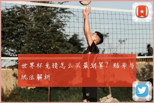 世界杯竞猜怎么买最划算?赔率与玩法解析