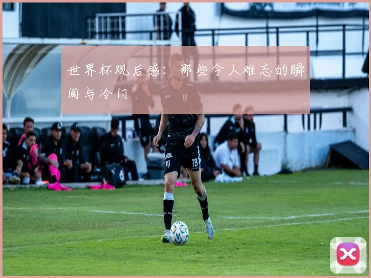 世界杯观后感:那些令人难忘的瞬间与冷门