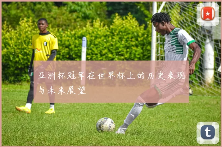 亚洲杯冠军在世界杯上的历史表现与未来展望