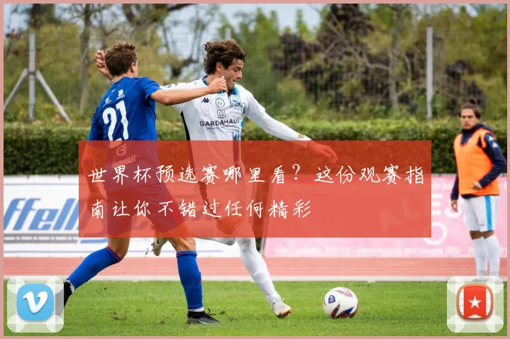 世界杯预选赛哪里看？这份观赛指南让你不错过任何精彩