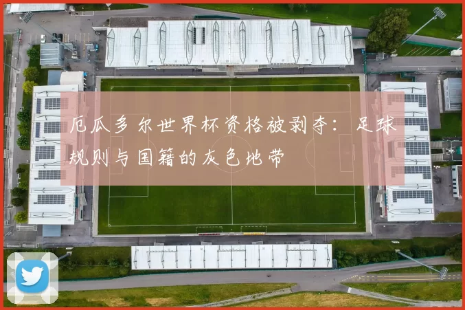 厄瓜多尔世界杯资格被剥夺：足球规则与国籍的灰色地带