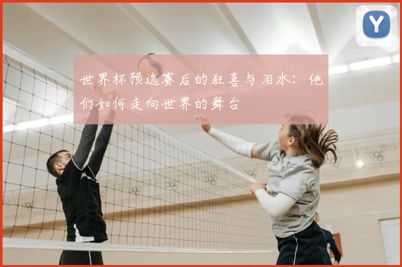 世界杯预选赛后的狂喜与泪水:他们如何走向世界的舞台