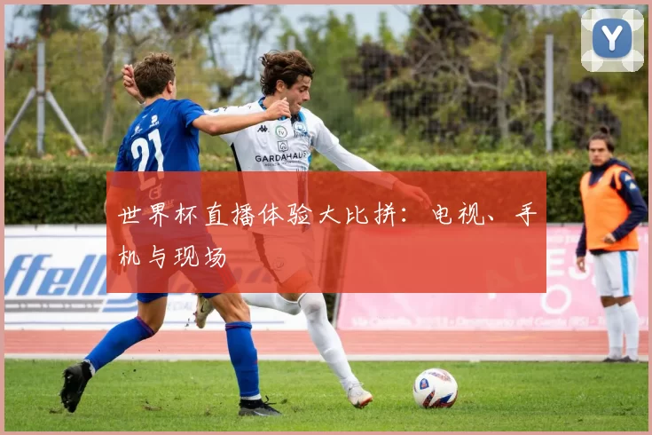 世界杯直播体验大比拼:电视、手机与现场