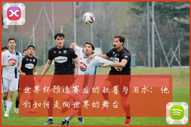 世界杯预选赛后的狂喜与泪水:他们如何走向世界的舞台