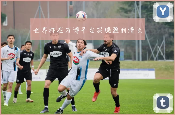 世界杯在万博平台实现盈利增长