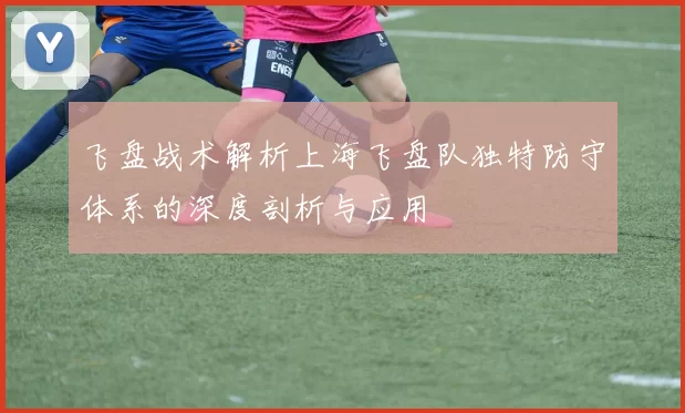 飞盘战术解析上海飞盘队独特防守体系的深度剖析与应用