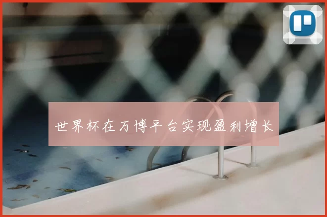 世界杯在万博平台实现盈利增长