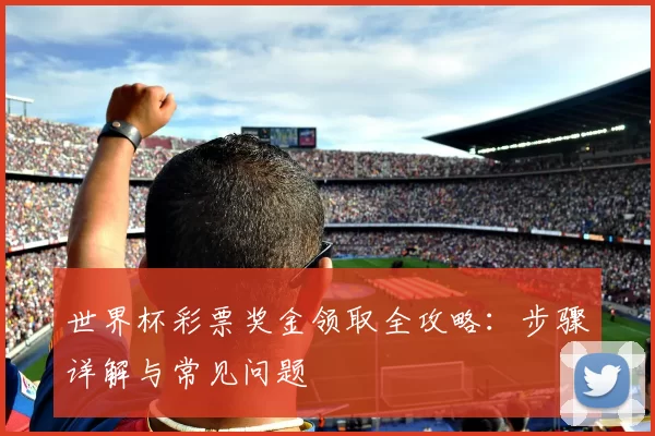 世界杯彩票奖金领取全攻略：步骤详解与常见问题