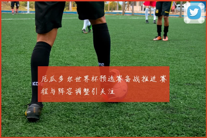 厄瓜多尔世界杯预选赛备战推进 赛程与阵容调整引关注