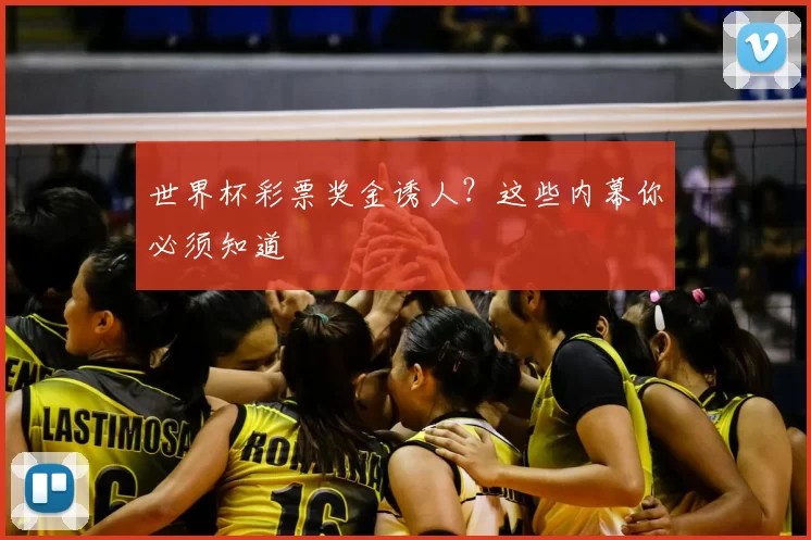 世界杯彩票奖金诱人？这些内幕你必须知道