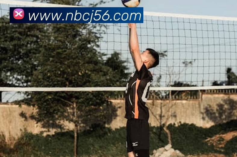 信誉好的平台服务体系